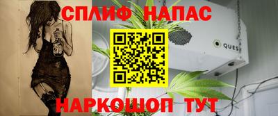 гидра Партизанск
