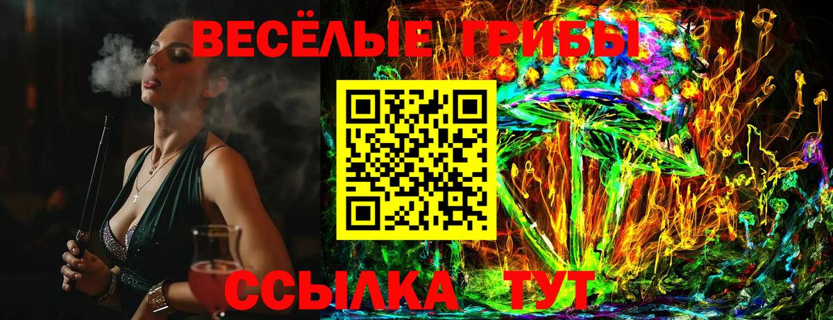 Галлюциногенные грибы Psilocybine cubensis Стрежевой