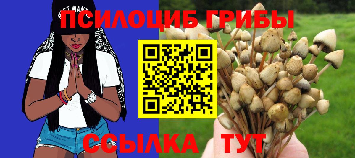 Галлюциногенные грибы MAGIC MUSHROOMS  Вход с VPN  Галлюциногенные грибы Psilocybine cubensis  Стрежевой 